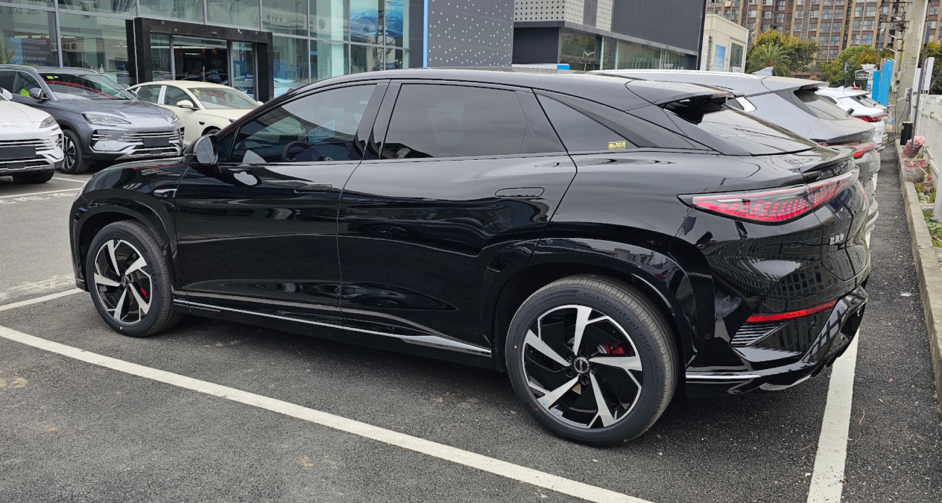 BYD 씨라이온 7 후측면 실차 사진