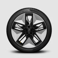 20 인치 Pro